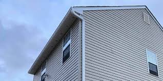 Best Custom Trim and Detailing for Siding  in Osage, IA